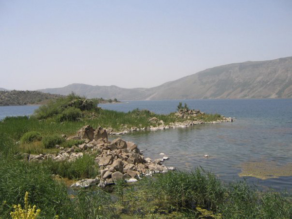 Tatvan 9