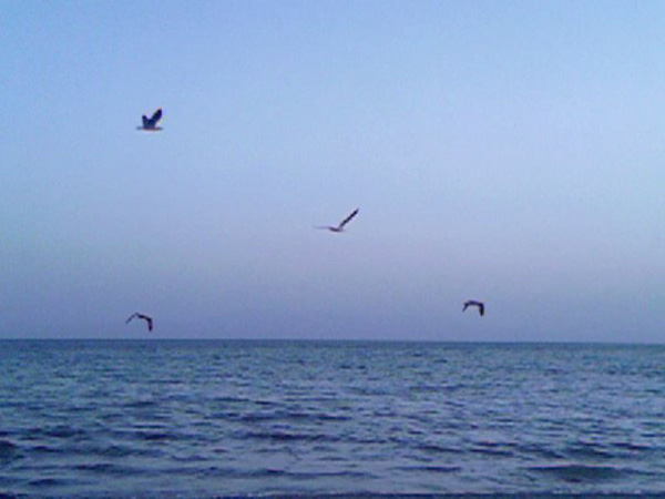 Manzaralar 23