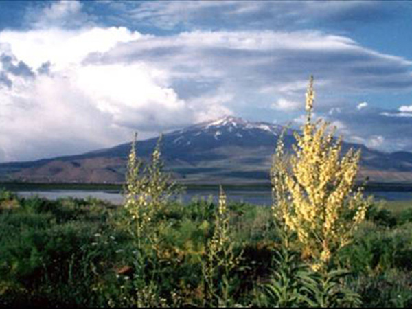 Süphan Dağı 19
