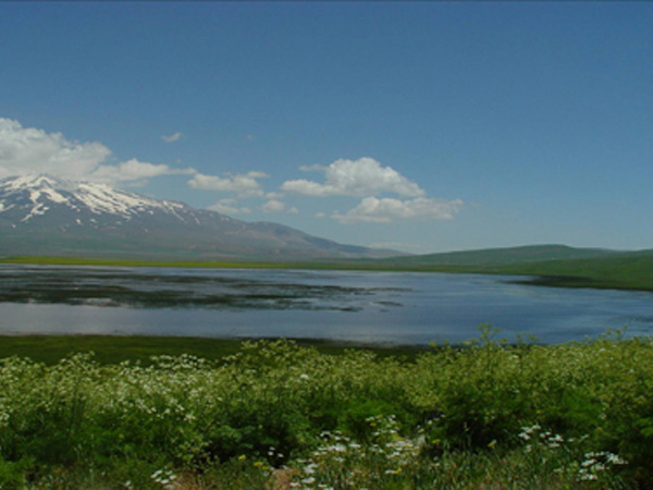 Süphan Dağı 20