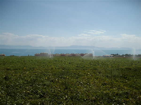 Adilcevaz'dan Manzaralar 31