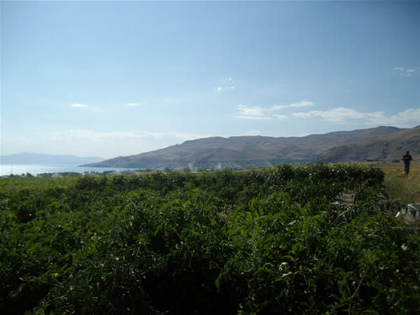Adilcevaz'dan Manzaralar 44