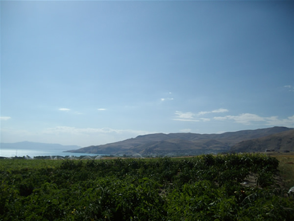 Adilcevaz'dan Manzaralar 45