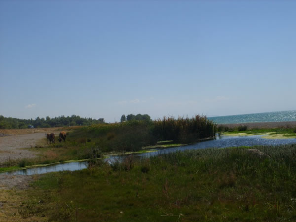 Adilcevaz Resimleri 26