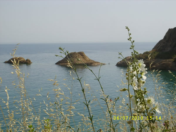 Adilcevaz Resimleri 8