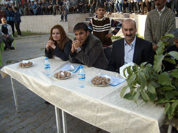 2010 Adilcevaz Ceviz Festivali 2