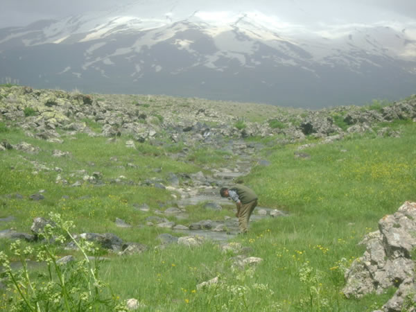 Adilcevaz Fotoğrafları 11