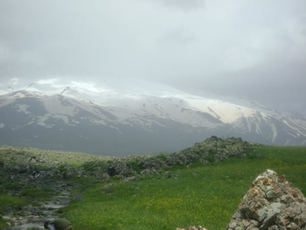 Adilcevaz Fotoğrafları 12