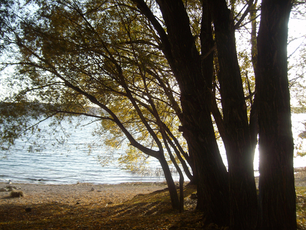 Adilcevaz Fotoğrafları 30