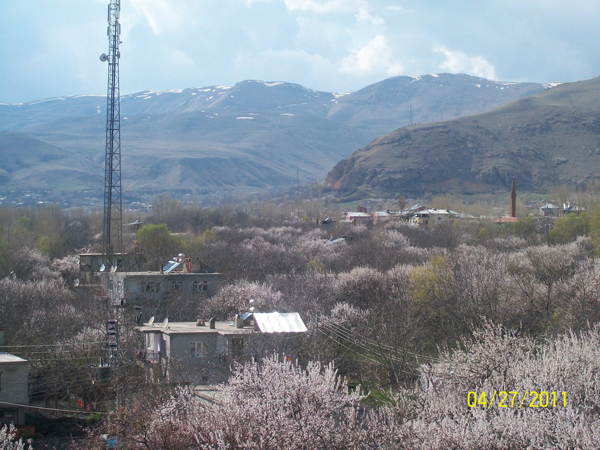 Adilcevaz'da Bahar 1