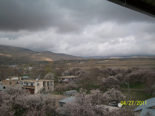 Adilcevaz'da Bahar 8