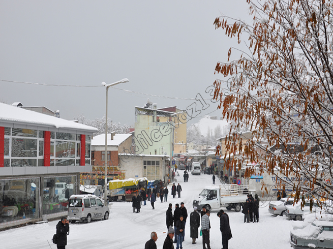 Adilcevaz'dan Kış Manzaraları 1