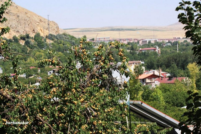 Birbirinden Güzel Adilcevaz Resimleri 19