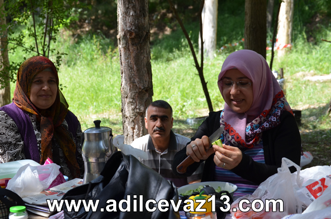 Adilcevazlılar Piknik Şöleni 17
