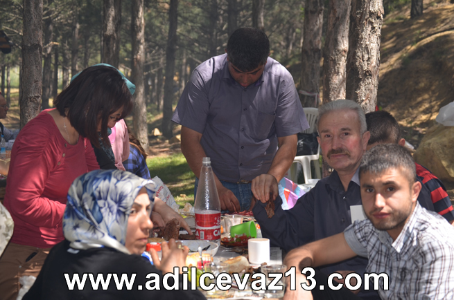 Adilcevazlılar Piknik Şöleni 2