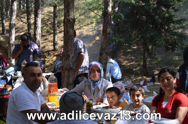 Adilcevazlılar Piknik Şöleni 22