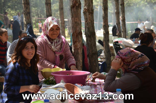 Adilcevazlılar Piknik Şöleni 4