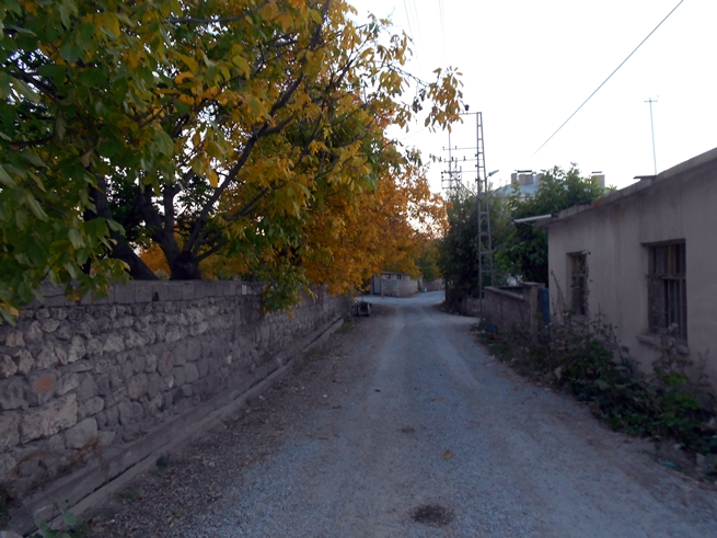 Adilcevaz'da Sonbahar Manzaraları 6