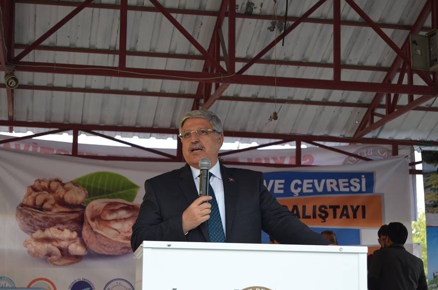 Adilcevaz’da Ceviz Festivali Düzenlendi 16