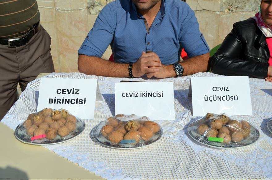 Adilcevaz’da Ceviz Festivali Düzenlendi 6