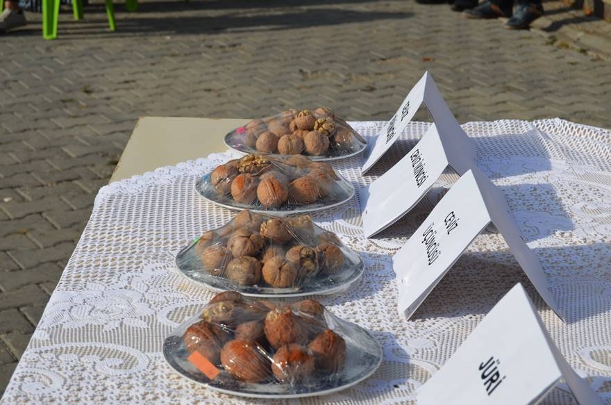 Adilcevaz’da Ceviz Festivali Düzenlendi 8