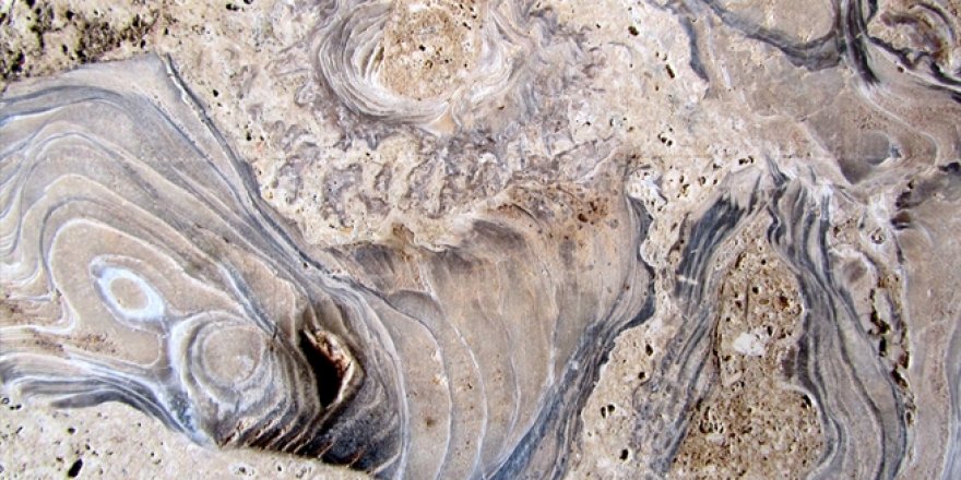 Bitlis'te Çıkarılan Mermerlerde Fosil Bulundu