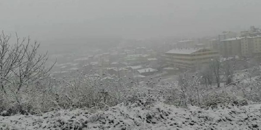 Ahlat’ın Köylerine Kar Yağdı