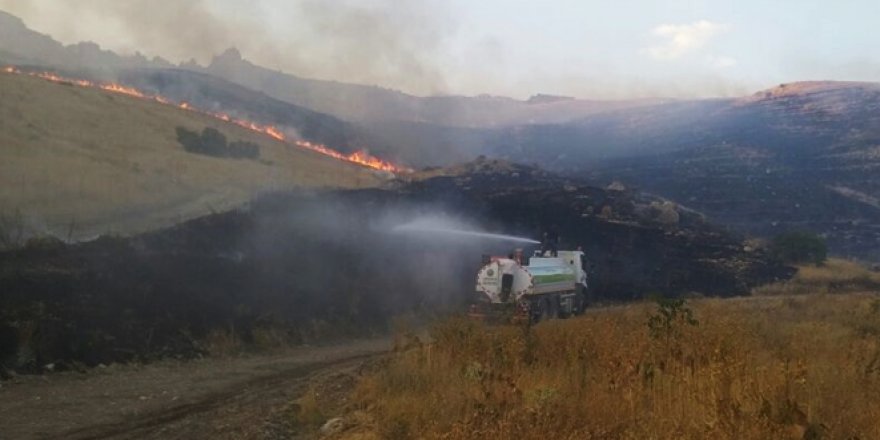 Adilcevaz’da Ormanlık Alanda Yangın Çıktı