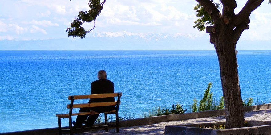 Memleketim İçin Bir Fikrim Var