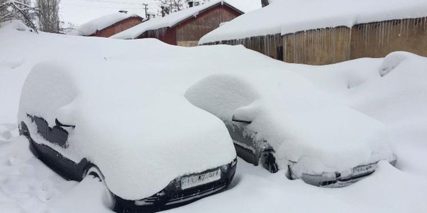 Bitlis'te 245 Köy Yolu Ulaşıma Kapandı