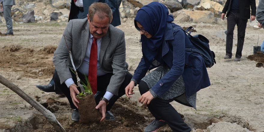 150 Aşılı Ceviz Fidanı Toprakla Buluştu