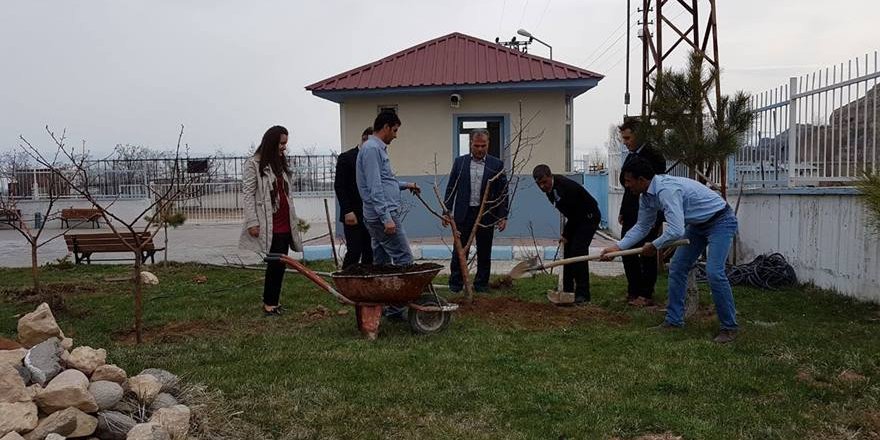 Adilcevaz KYK Yurdunda Fidan Dikme Etkinliği