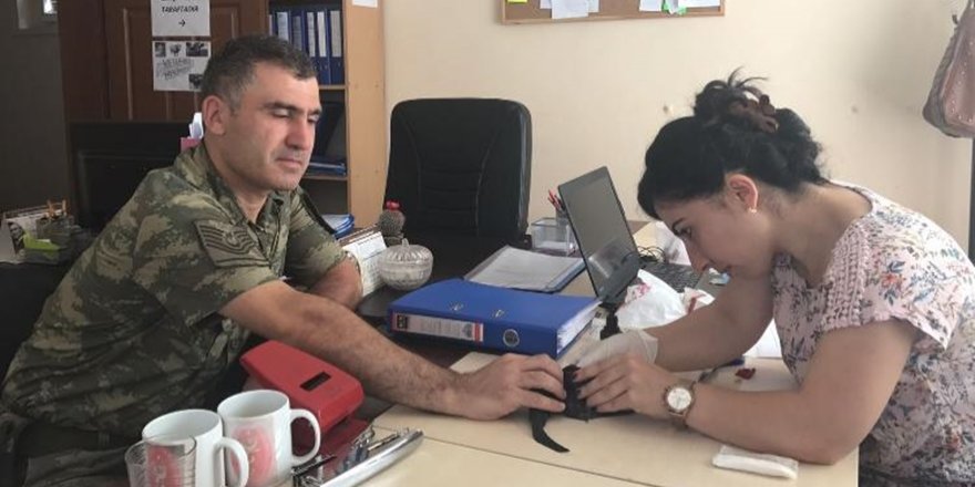Yaralı Ebabil Kuşu Tedavi Edildi