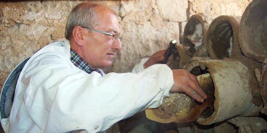Dünya Üçüncüsü Karakovan Balının Hasadı Yapıldı