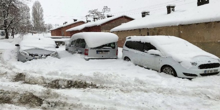 Bitlis Kar Hapsinde