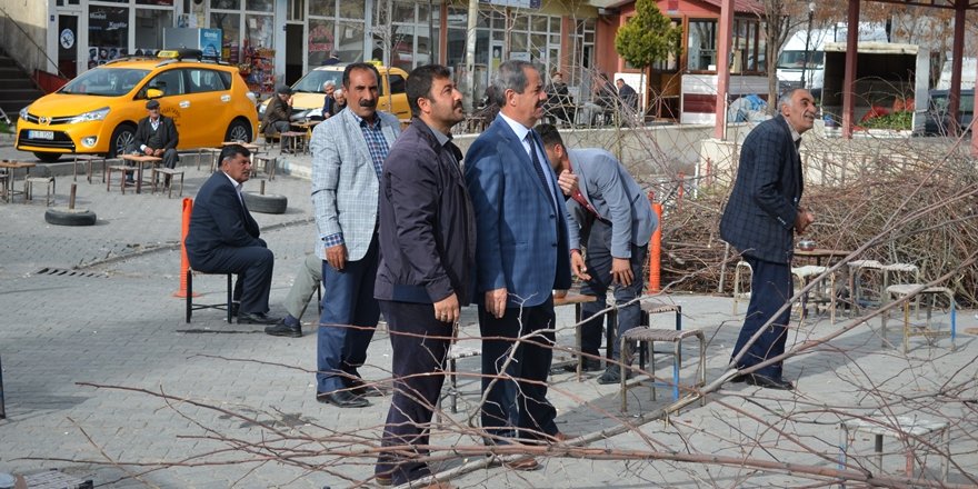 Adilcevaz Belediyesi Ağaç Budama Çalışması Başlattı
