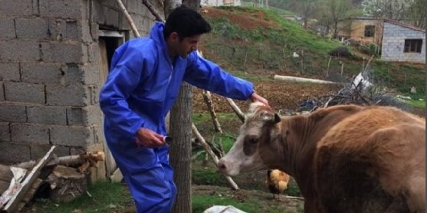 Bitlis ve İlçelerinde Şap Aşısı Çalışması