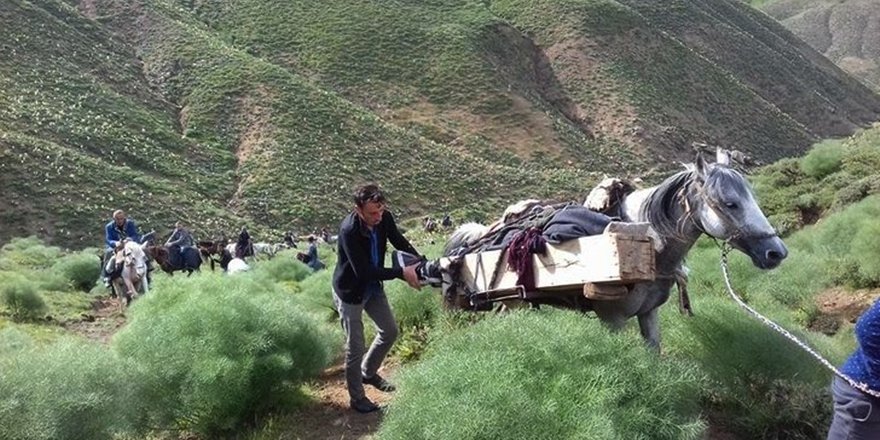 Koyun Otlatırken Yıldırım Çarpan Genç Hayatını Kaybetti