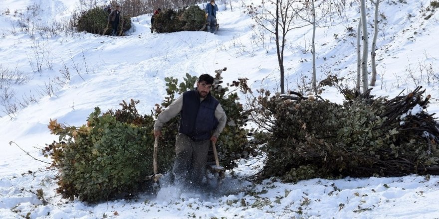 Çiftçilerin Zorlu Kış Mesaisi