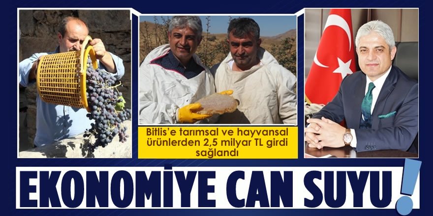 Bitlis’e Tarımsal ve Hayvansal Ürünlerden 2,5 Milyar TL Girdi Sağlandı