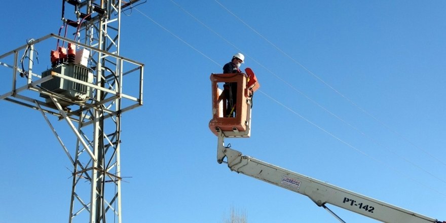 Kuşların Ölmemesi İçin Tellere Koyulan 'Cansız Manken' İndirildi, 'İzolasyon' Yapıldı