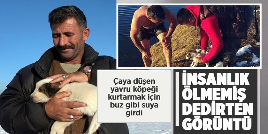 Çaya Düşen Yavru Köpeği Kurtarmak İçin Buz Gibi Suya Girdi