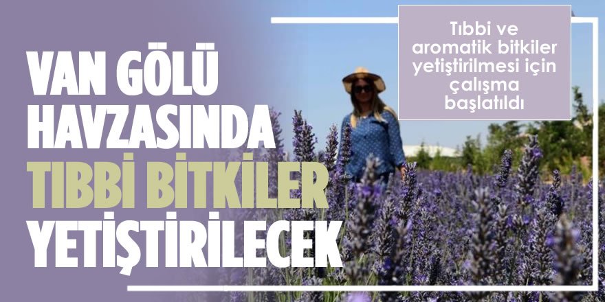 Van Gölü Havzasında Tıbbi Bitkiler Yetiştirilecek