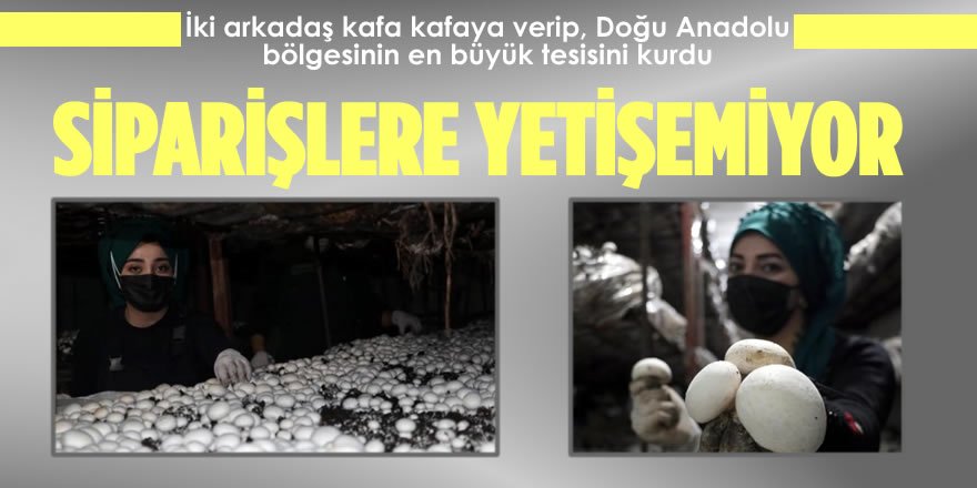 Doğu Anadolu'nun En Büyük Tesisini Kurdu