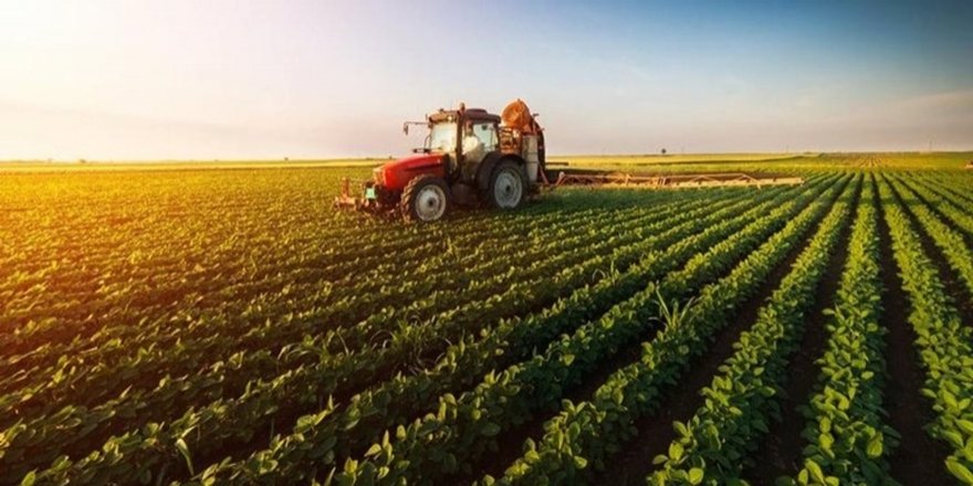 Bakan Pakdemirli'den Çiftçiye Müjde! Yarın Hesaplara Yatacak