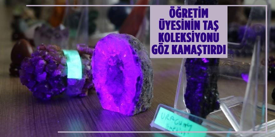 Taş ve Fosil Koleksiyonunu Çalışma Odasında Sergiliyor