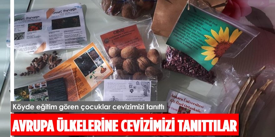 Köy Okulu Öğrencileri Avrupa Ülkelerine Adilcevaz Cevizini Tanıttı