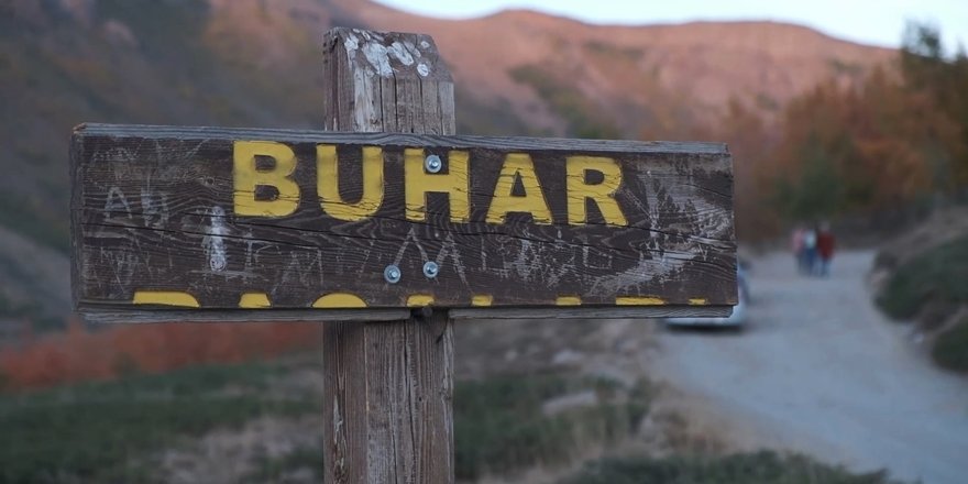 Hastalar Nemrut Dağı'ndaki Buhar Bacalarında Şifa Arıyor