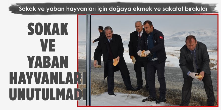 Adilcevaz’da Sokak Hayvanlarına Ekmek ve Sakatat Bırakıldı