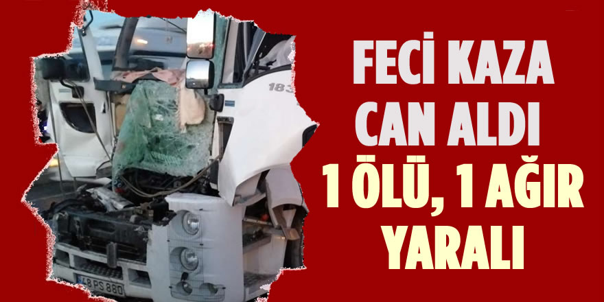 Trafik Kazası Can Aldı; 1 Kişi Öldü, 1 Kişi Ağır Yaralı